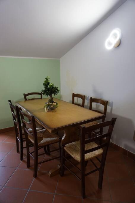 Saila Monolocale Marte Apartment *