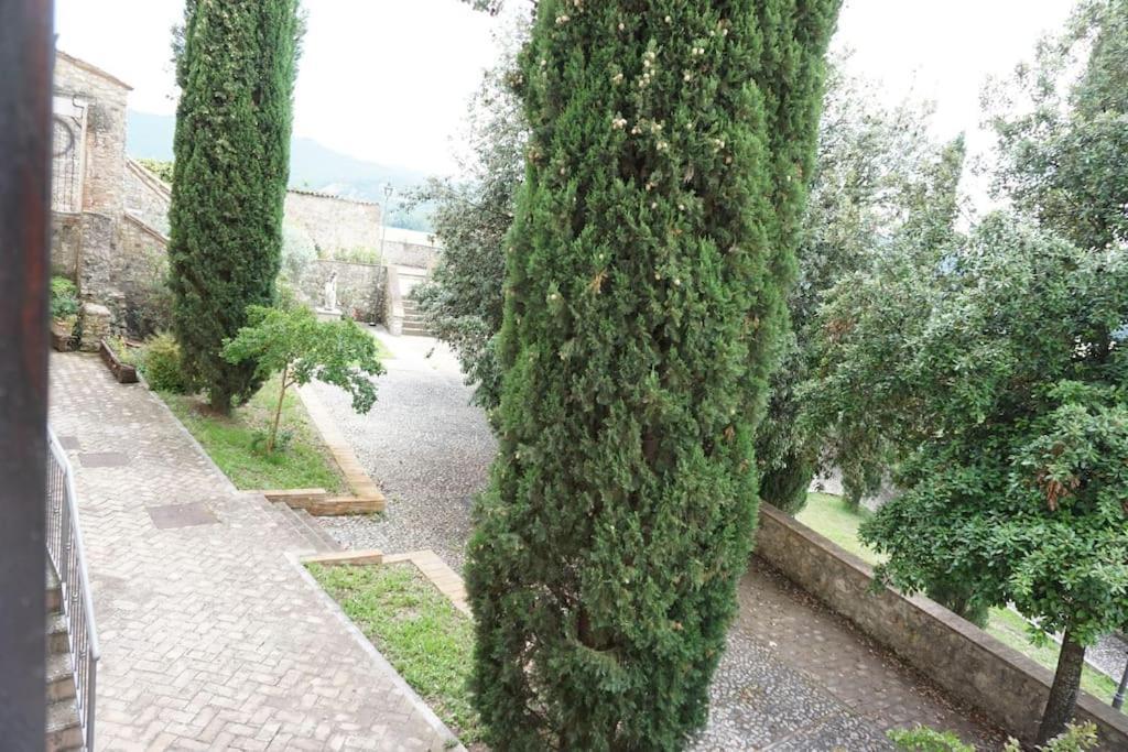 Saila Monolocale Marte Apartamento